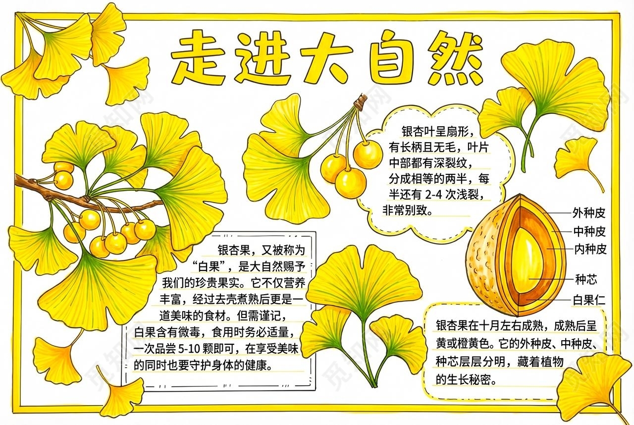 彩色卡通手绘走进自然小报手抄报小学生手抄报