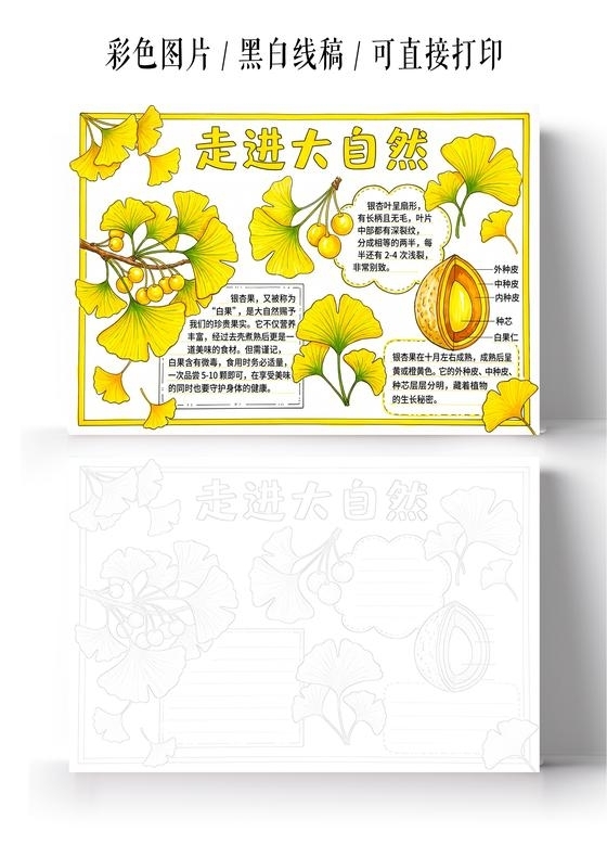 彩色卡通手绘走进自然小报手抄报小学生手抄报