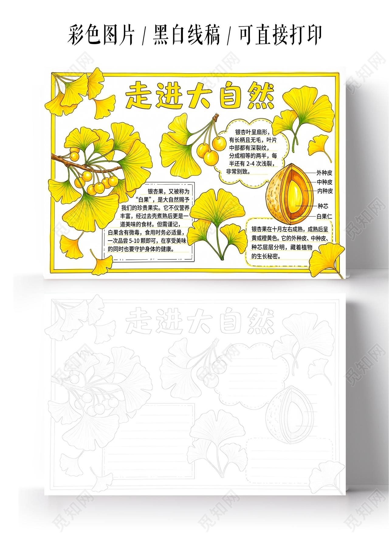 彩色卡通手绘走进自然小报手抄报小学生手抄报