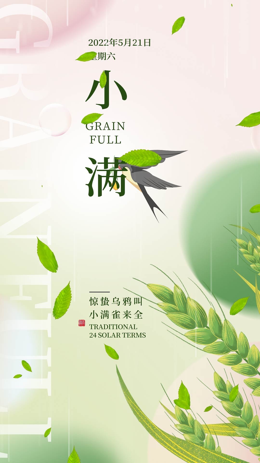 4k高清小满海报节日节气夏天海报ae模板