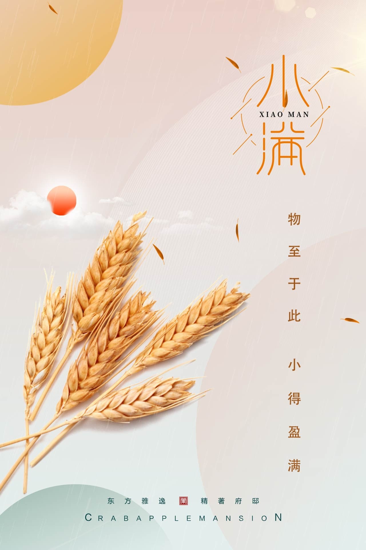 4k高清小满海报节日节气海报ae模板