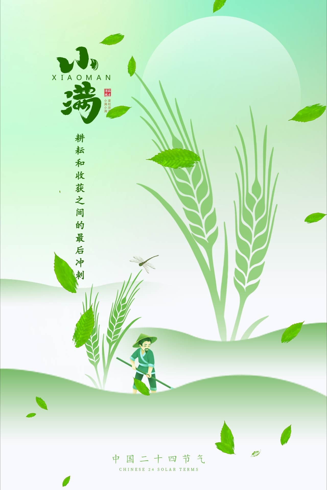 4k高清小满海报节日节气绿色清新海报ae模板