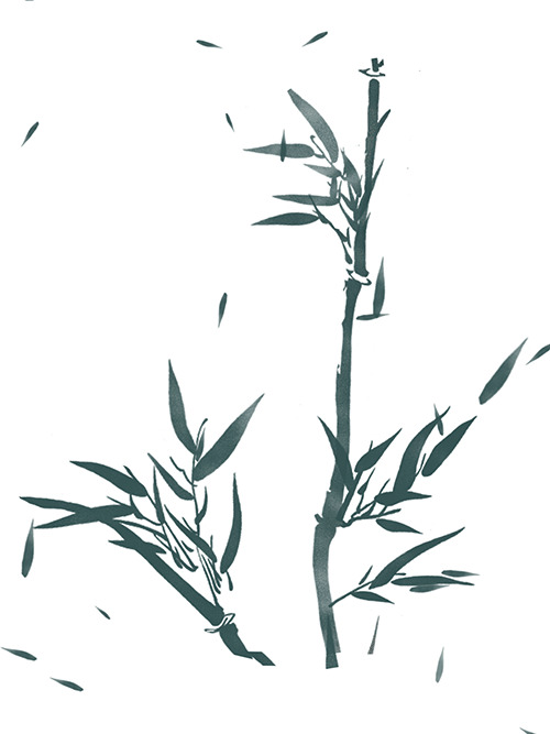 竹子元素GIF动态图竹子元素[gif]