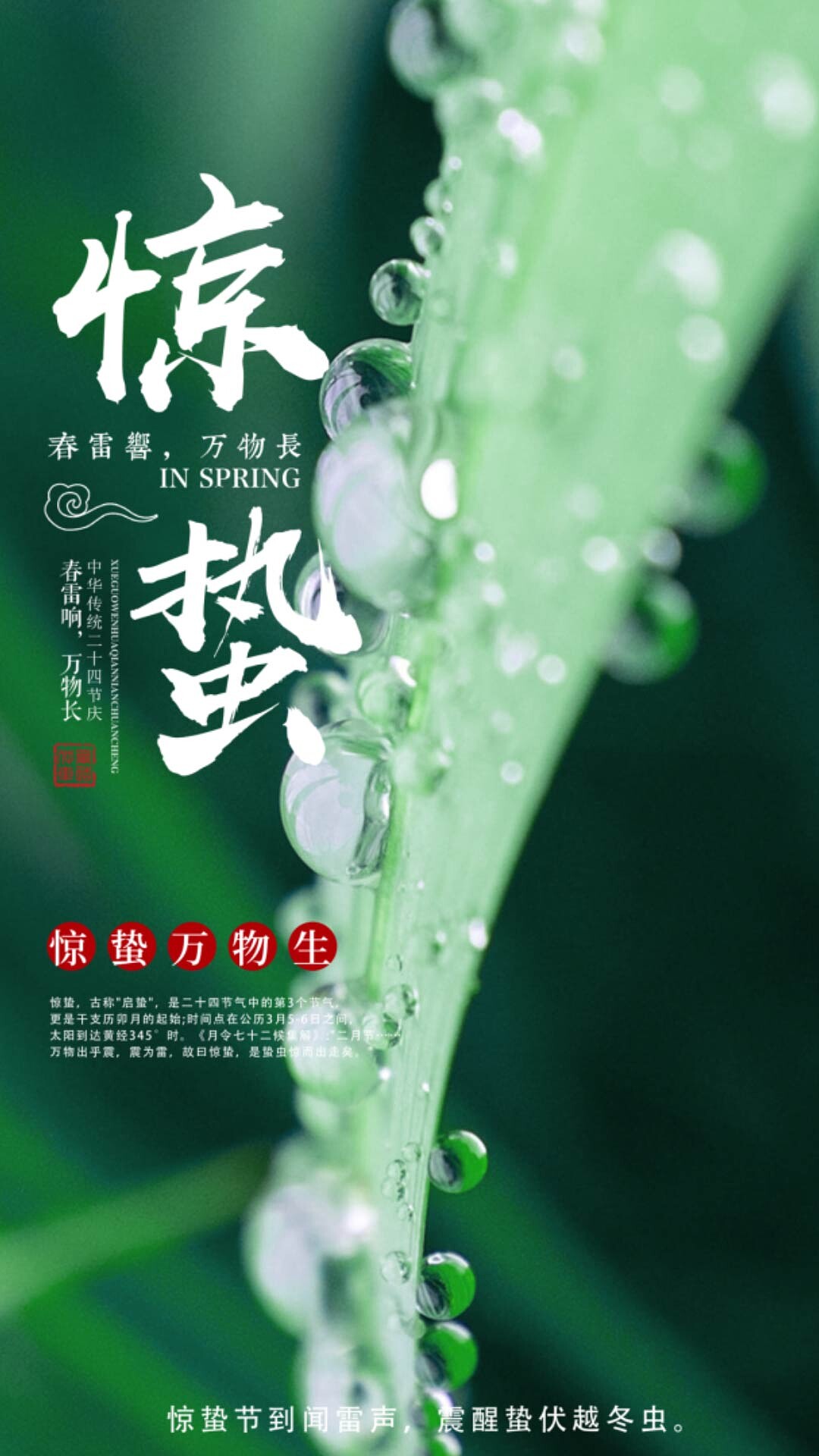 4k高清惊蛰节日节气海报ae模板惊蛰海报[MP4+gif]