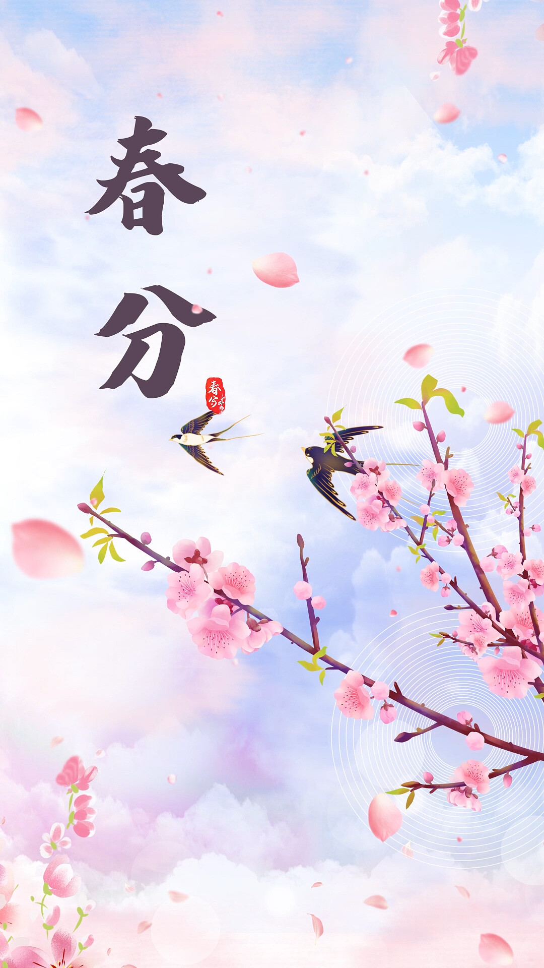 黄色樱花树枝花朵花瓣春分节气燕子春天季节文字海报ae背景春分海报[MP4+gif]