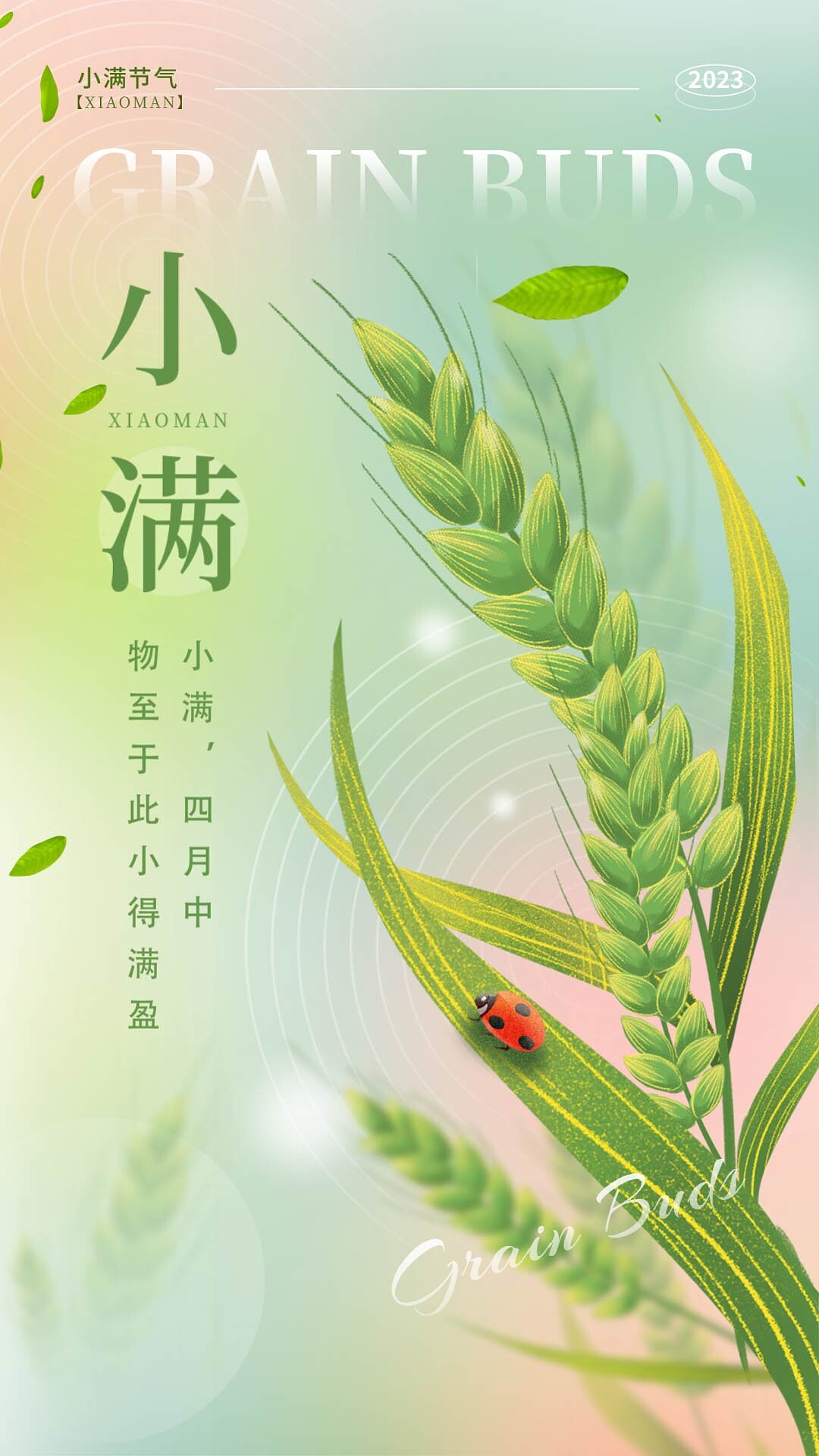 4k高清渐变色弥散渐变小满节气手机宣传海报小满海报[mp4+gif]