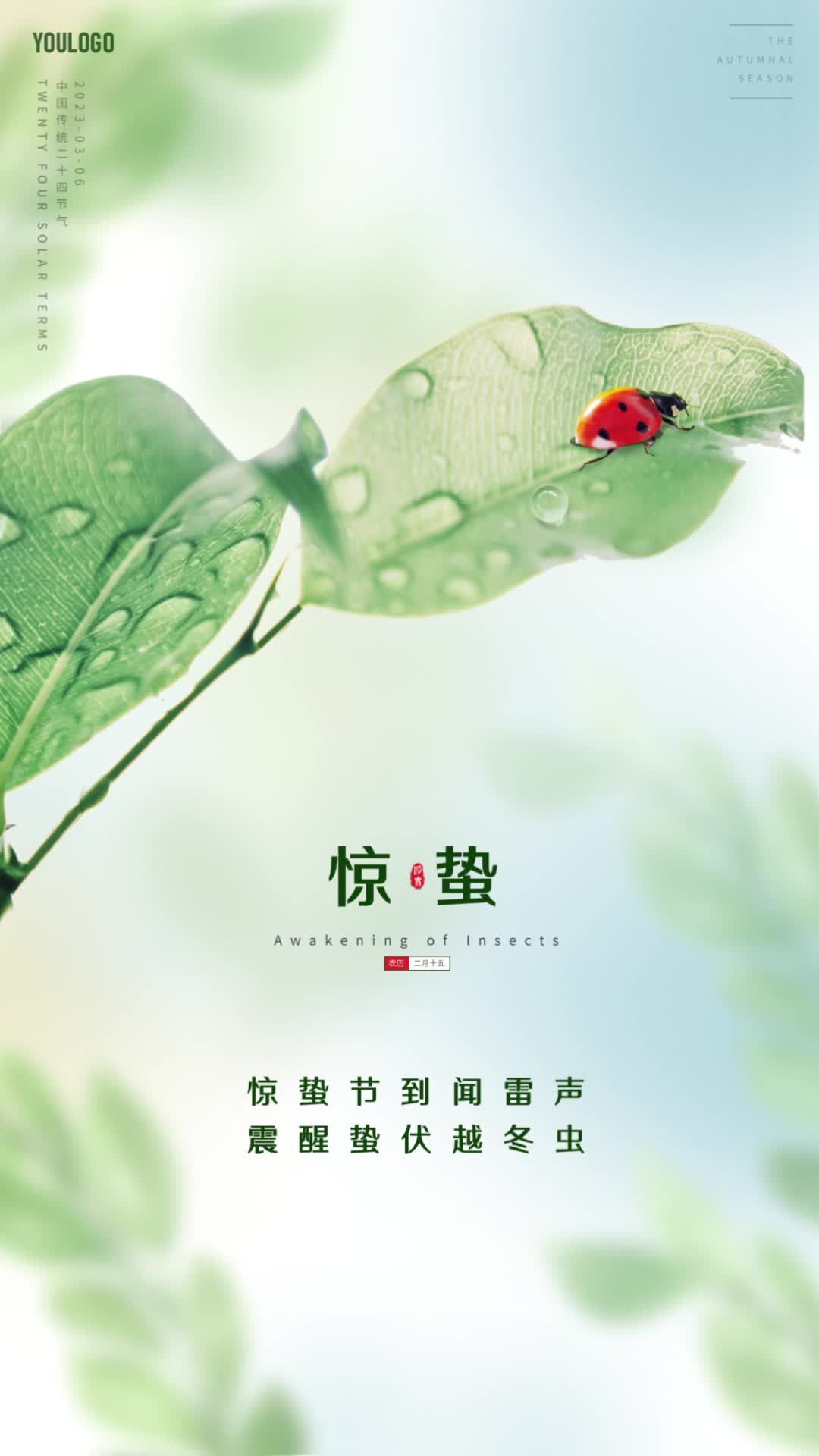 4k惊蛰节气海报二十四节气视频海报手机ae模板植树节背景