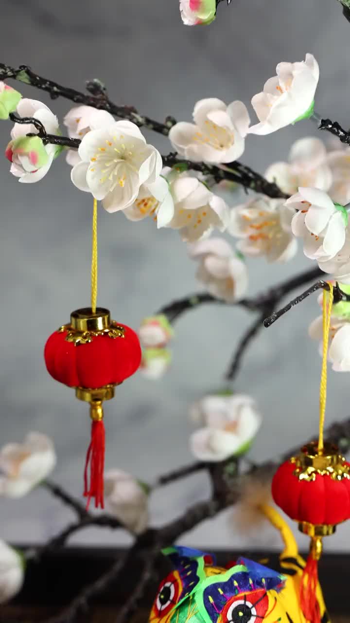 虎年春节素材视频