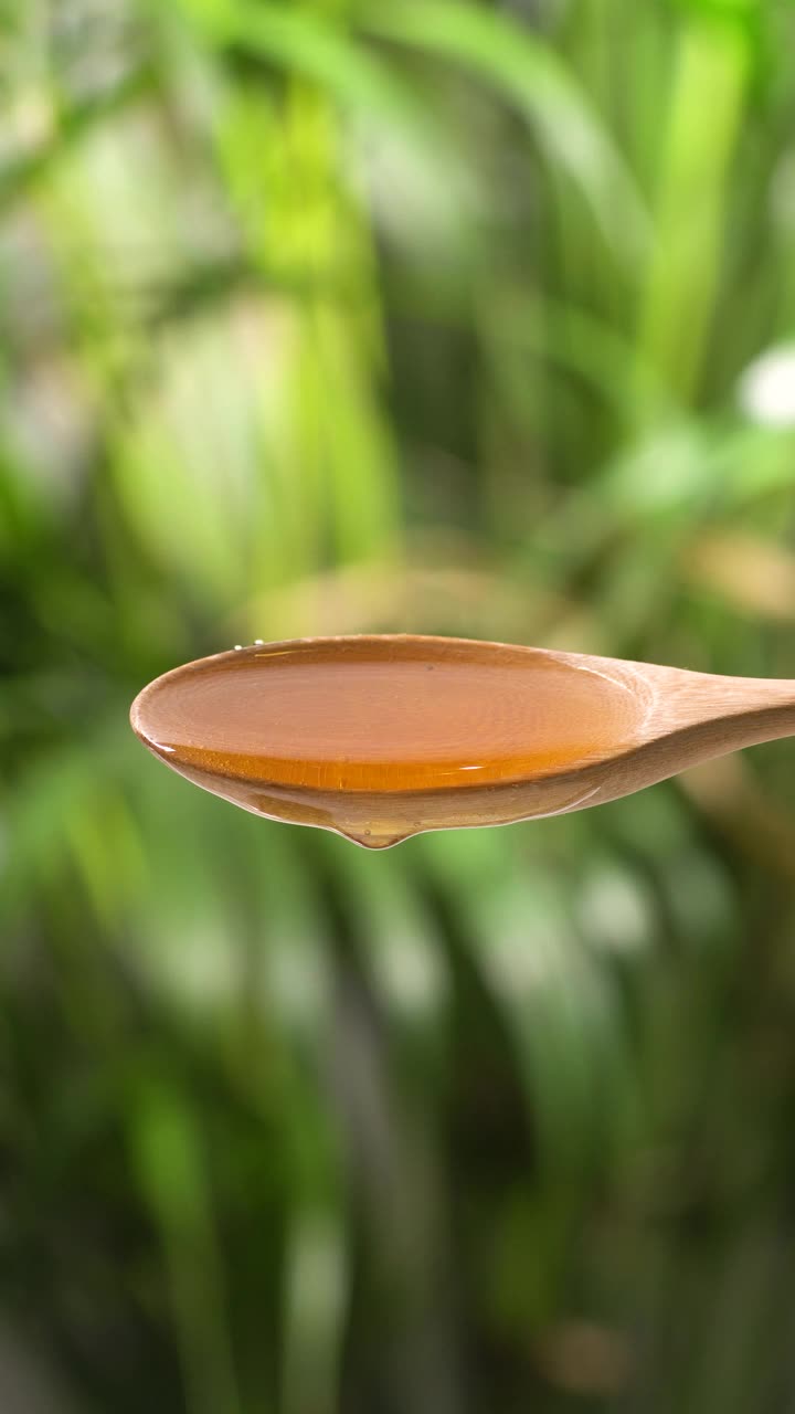 (实时和垂直)蜂蜜从木勺上掉下来