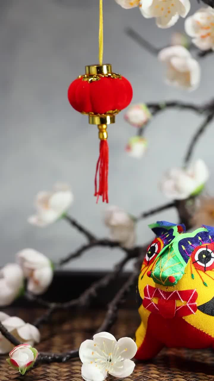 虎年春节素材视频