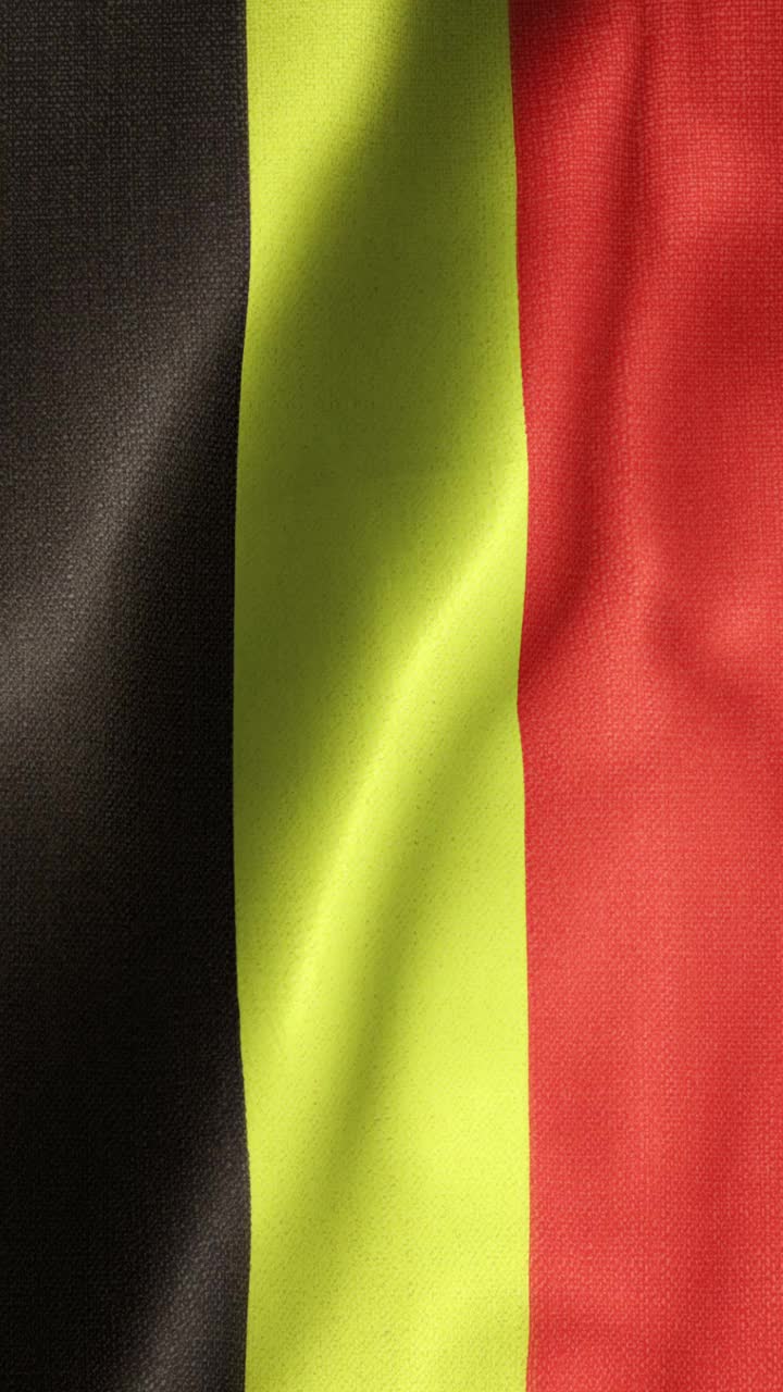 比利时垂直国旗动画库存视频-比利时国旗在循环和纹理3d渲染背景-高度详细的织物图案和可循环-比利时王国