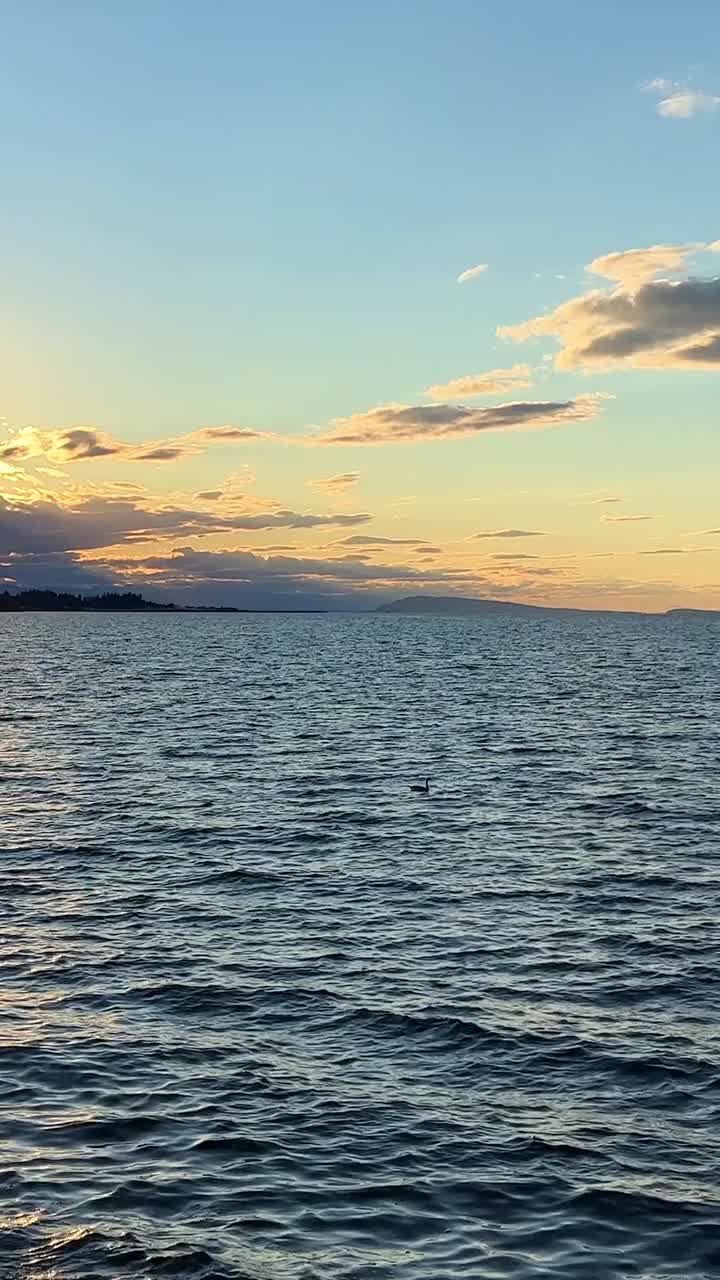 日落在海洋地平线上许多云彩和明亮的颜色从太阳在天空中慢动作视频适合音乐放松背景文字沉默和平帕克斯维尔海滩Surfside RV度假胜地