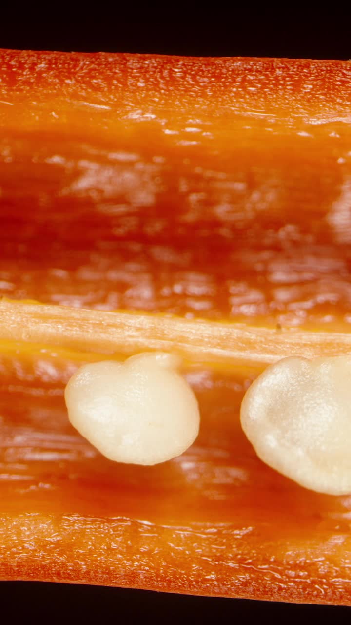 纵向切片红辣椒，骨头在一个超级宏观幻灯片。在黑色背景上隔离。垂直视频社交媒体