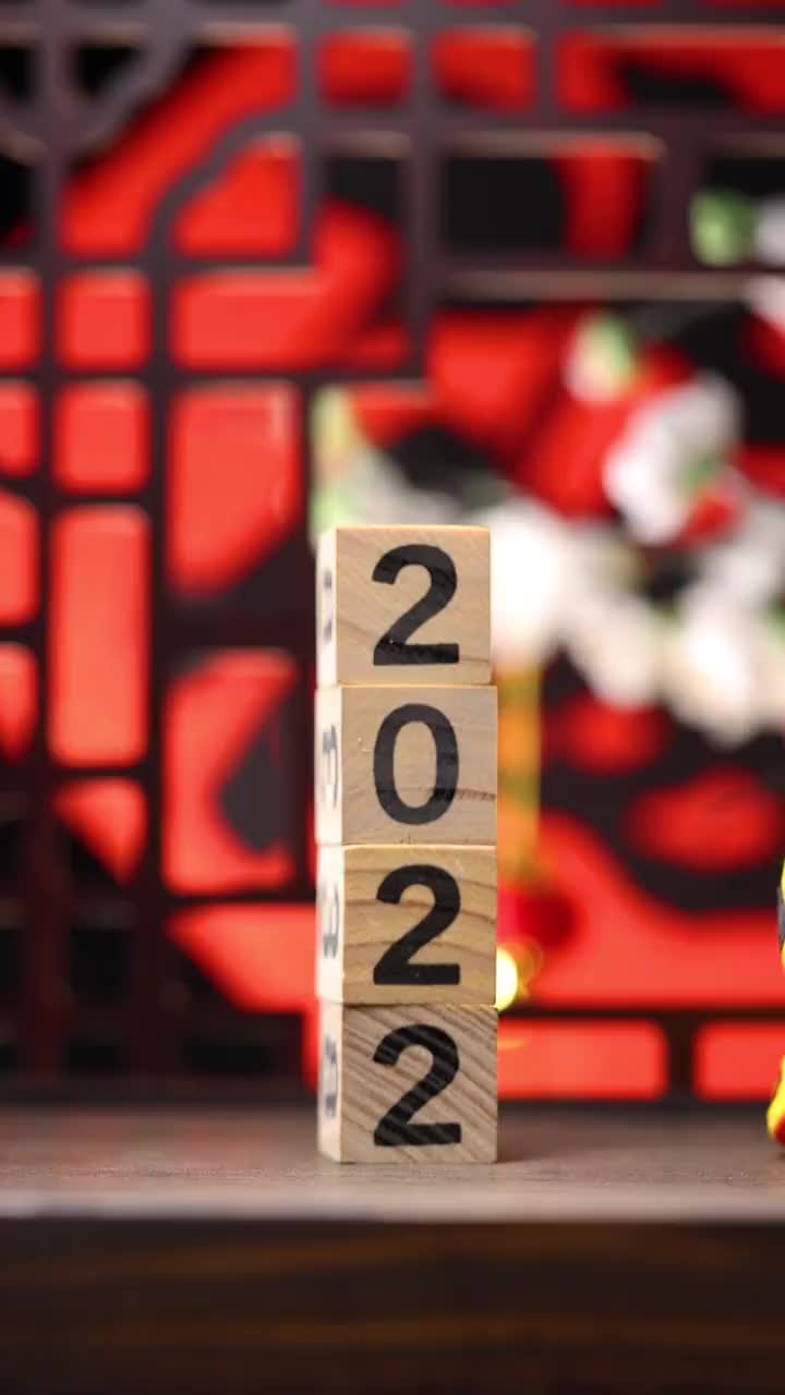 虎年春节素材视频