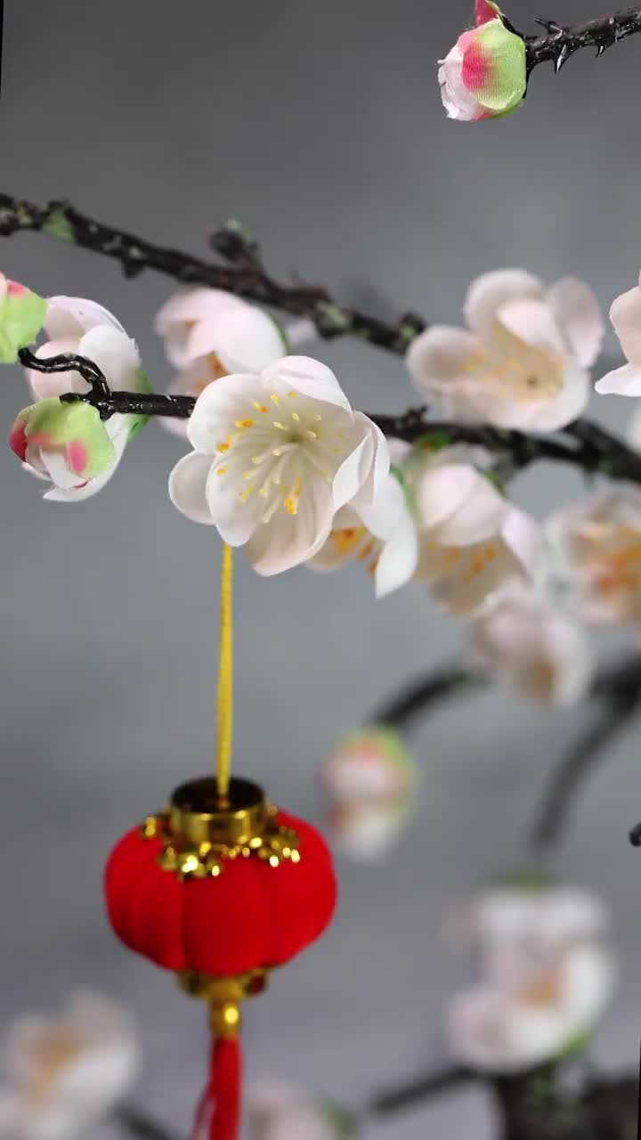 虎年春节素材视频