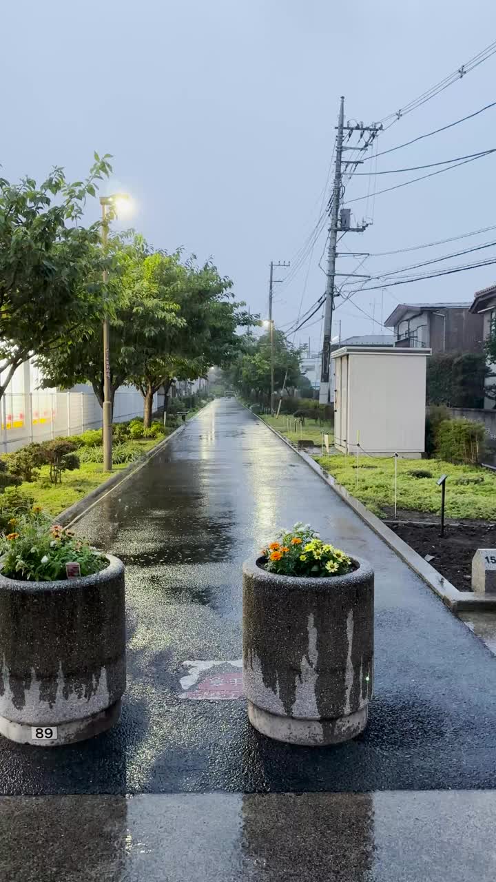 迷人的夜晚漫步:下雨的行人只有绿色的人行道由柔和的灯光照亮，创造一个宁静的气氛-一个迷人的股票视频