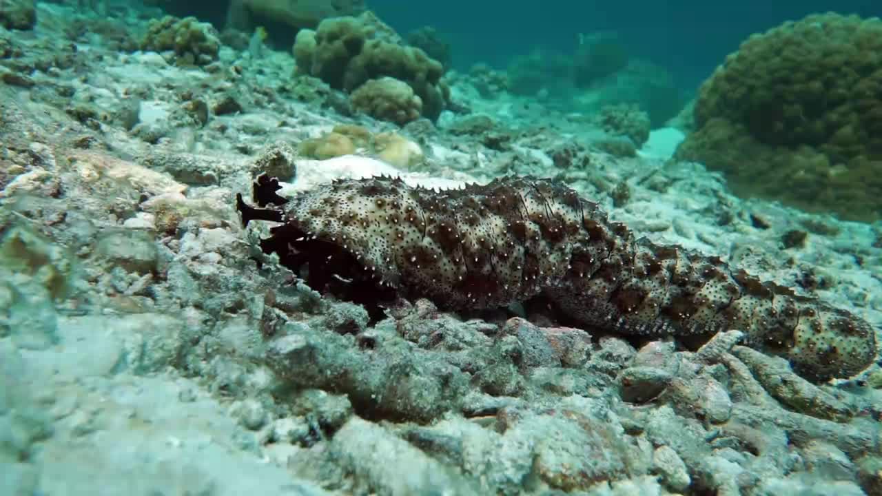 隐蔽传播境外违法影视剧 政协委员：建议强制网盘浏览器运行未成年人模式