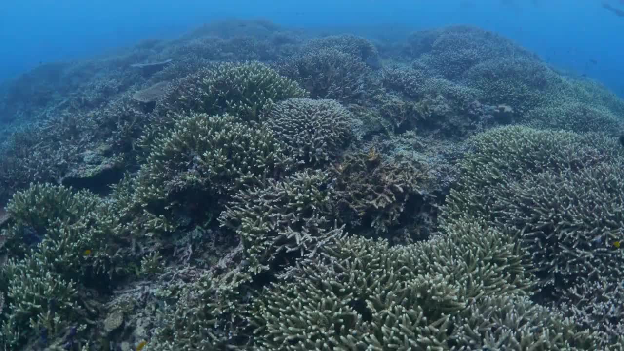 淘宝闪购启动全国首条无人机“聚合送”航线%