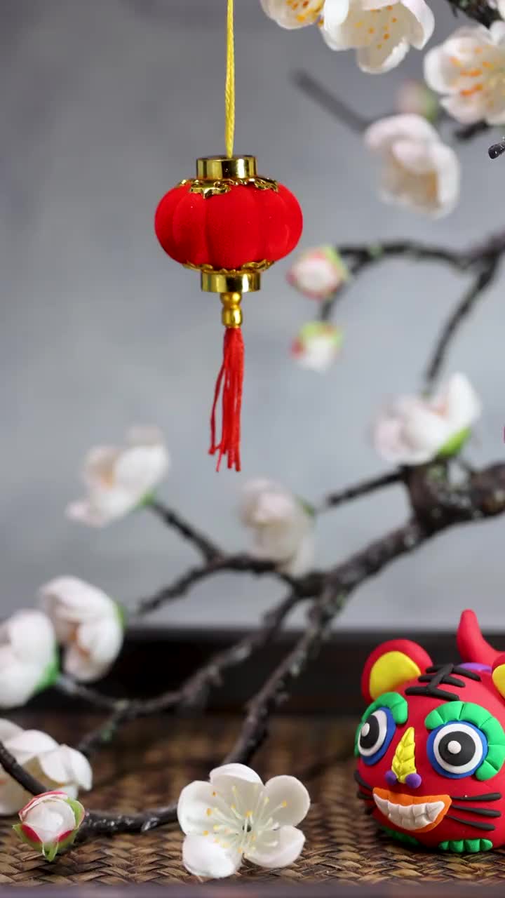 虎年春节素材视频