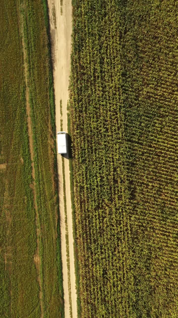 高架顶部平视图的面包车汽车车辆汽车驾驶运动在农村道路通过夏季绿色领域。乡村景观。动态汽车驾驶