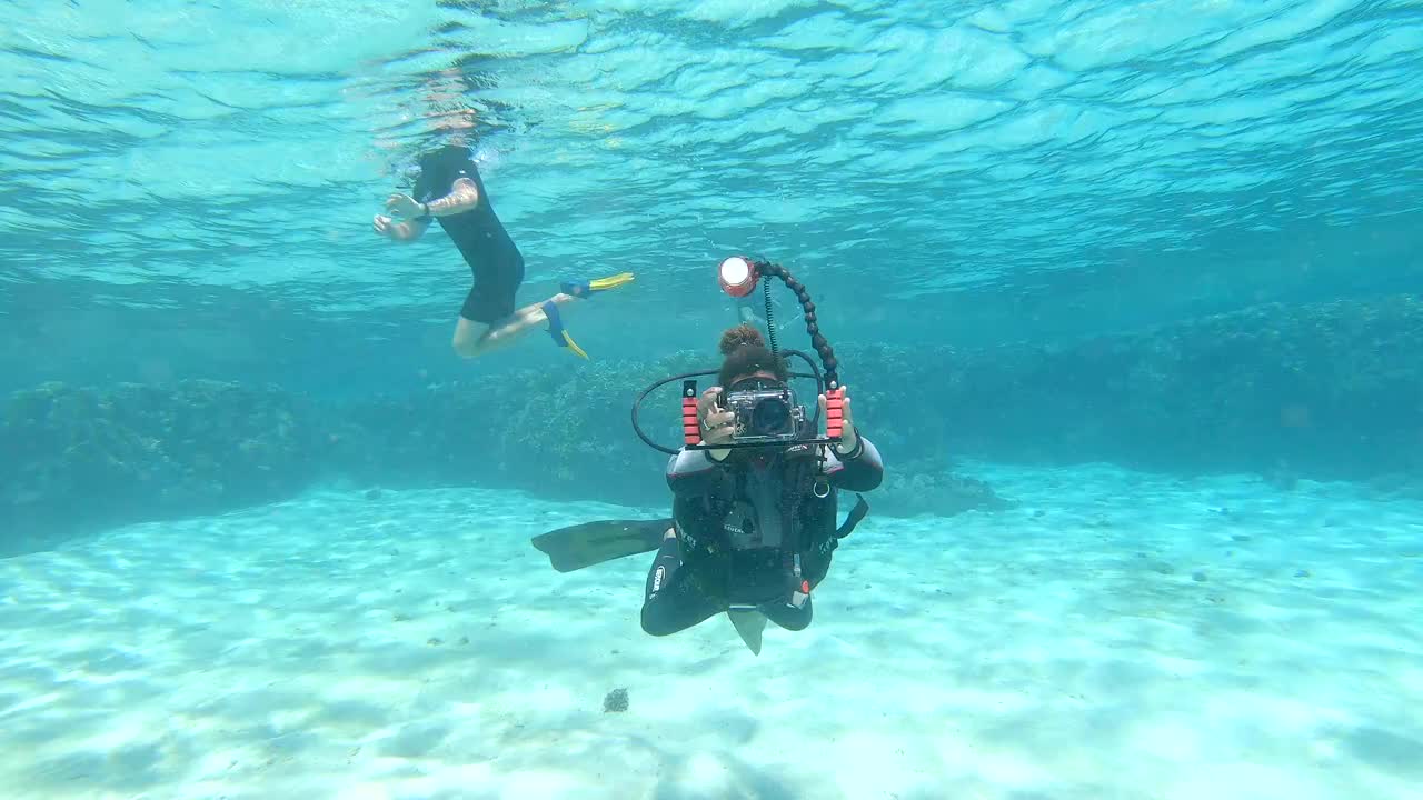 鱼获满满徒手抓鱼户外捕鱼水下摄影捕鱼达人潜水_高清1080P在线观看平台_腾讯视频