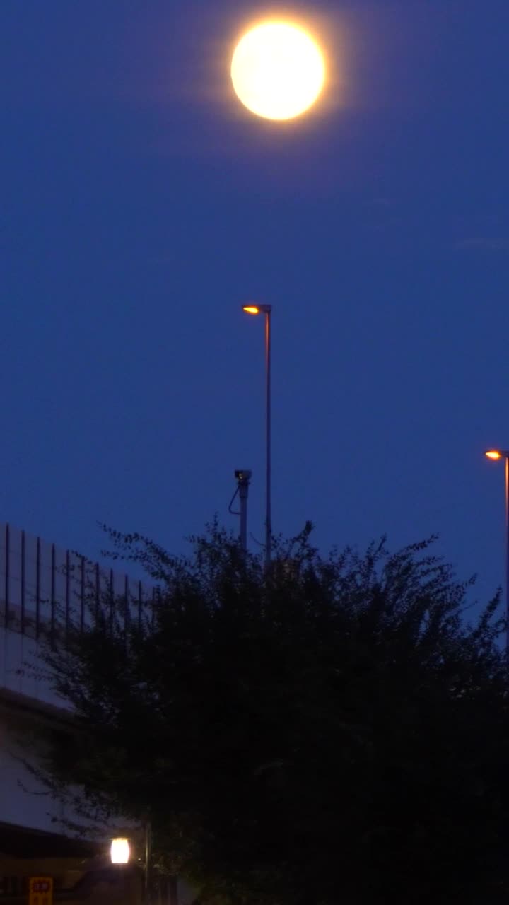 从桥上升起的月亮