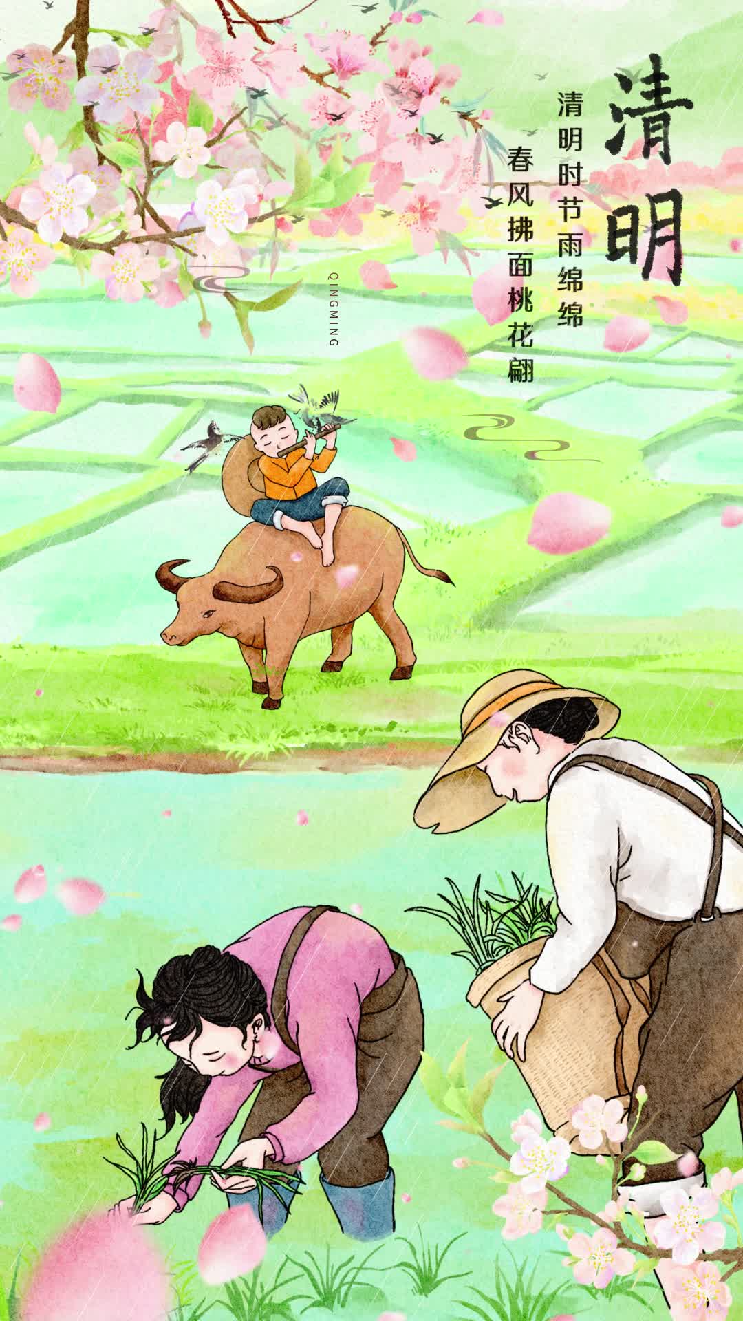 4k水彩二十四节气清明春天桃花农忙插秧牧童吹笛插画背景ae模板AE模板