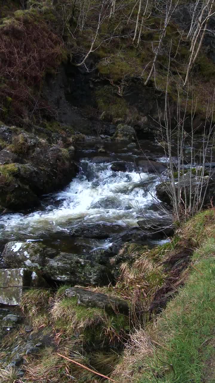 苏格兰一条小河在春天的慢镜头