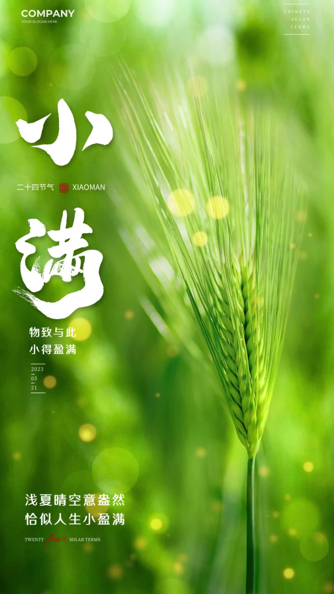 4k实拍风小满节气海报二十四节气手机宣传视频海报ae模板AE模板