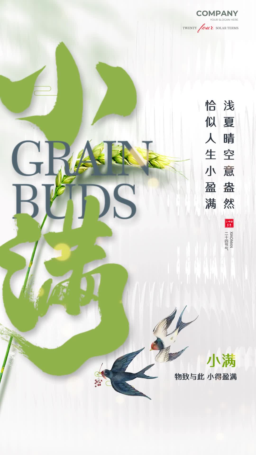 4k高清小满节气海报二十四节气手机宣传视频海报ae模板计时器