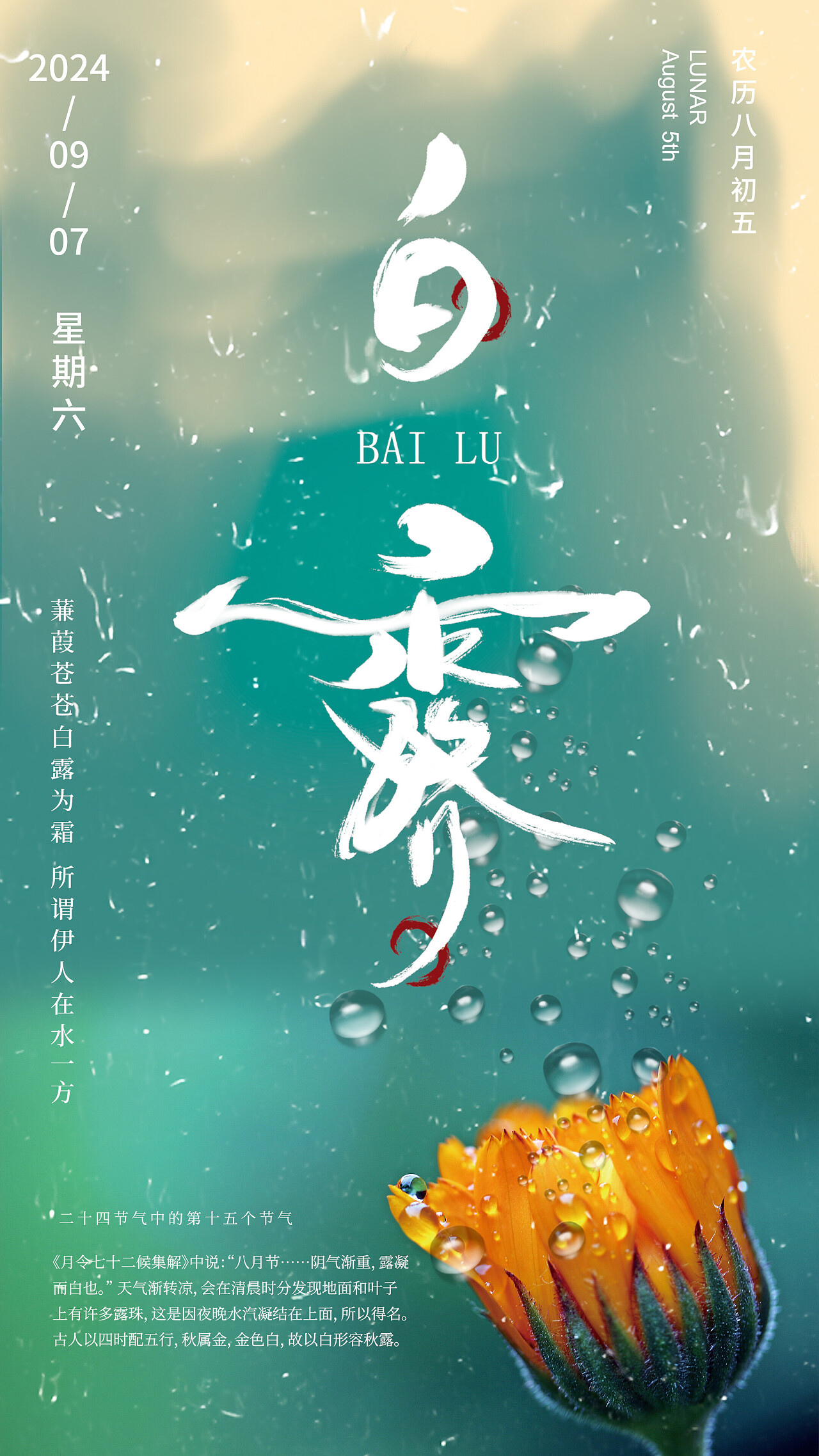 清新中国风白露二十四节气朋友圈视频海报宣传pr模板