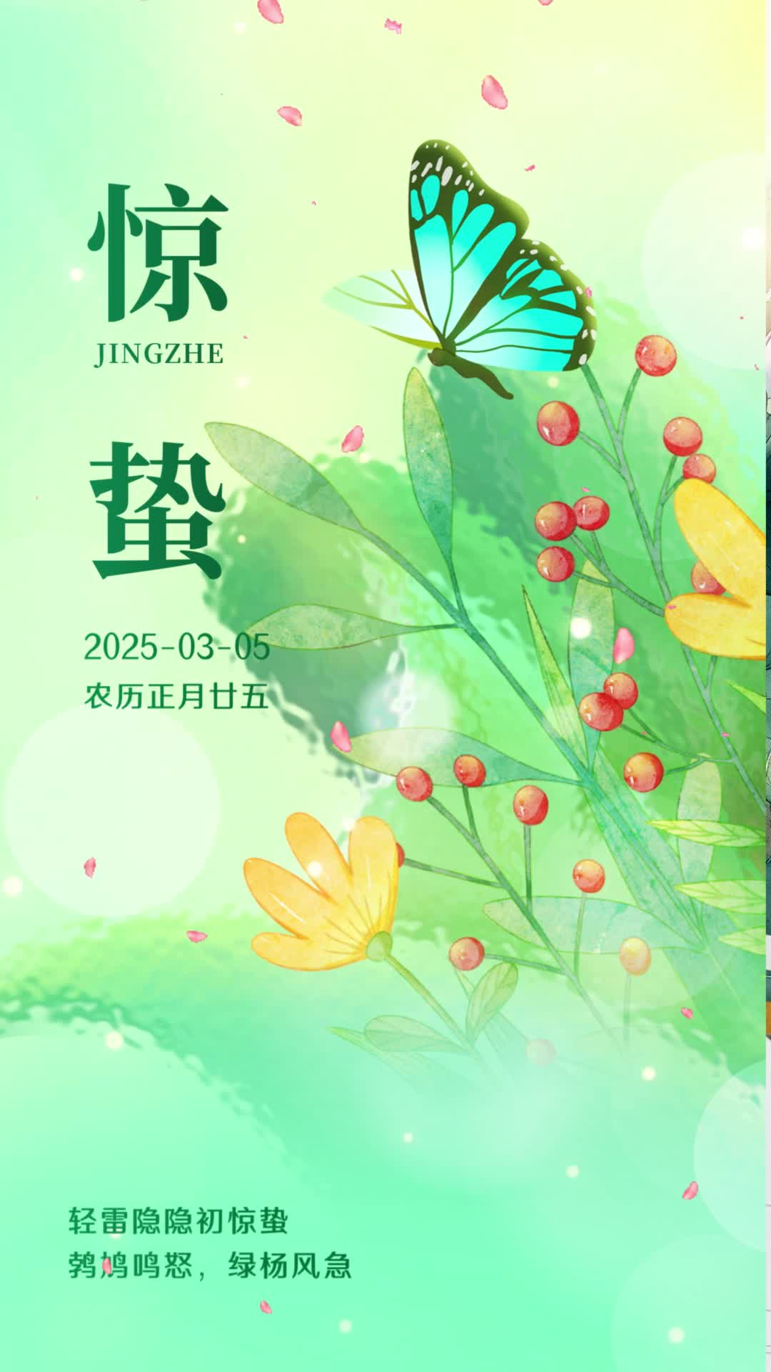 4k清新手绘24节气春分谷雨惊蛰视频海报ae模板AE模板