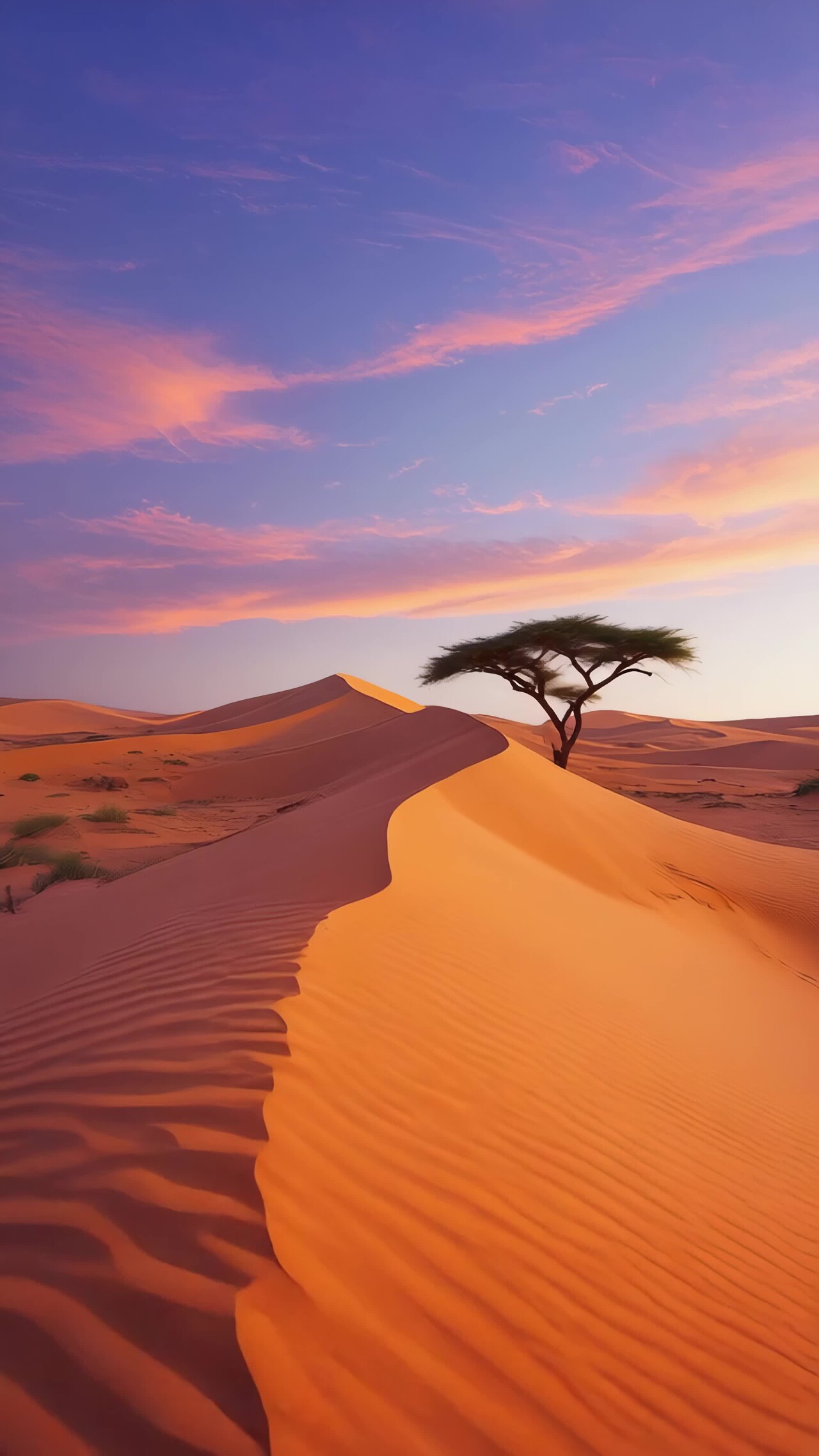 竖版视频沙漠孤树黄昏美景