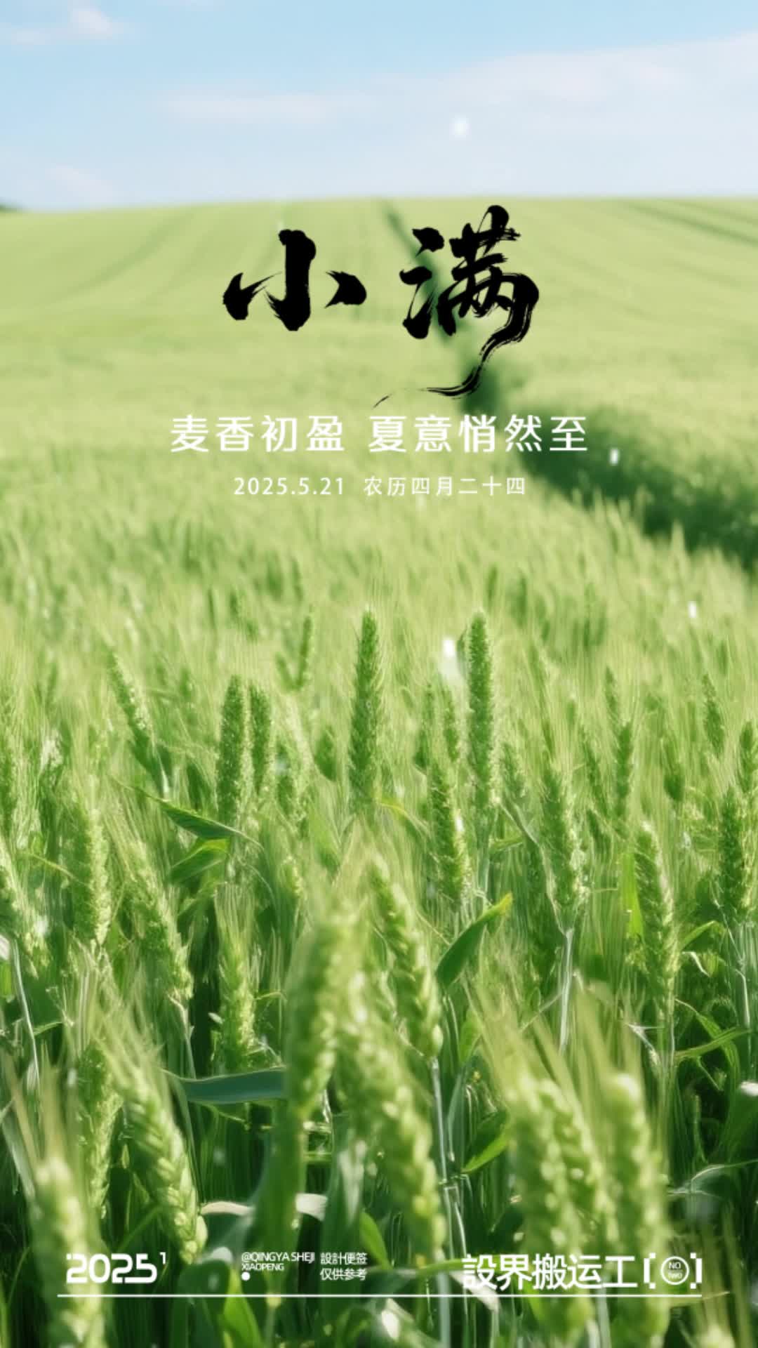 4k二十四节气小满节气视频海报ae模板AE模板