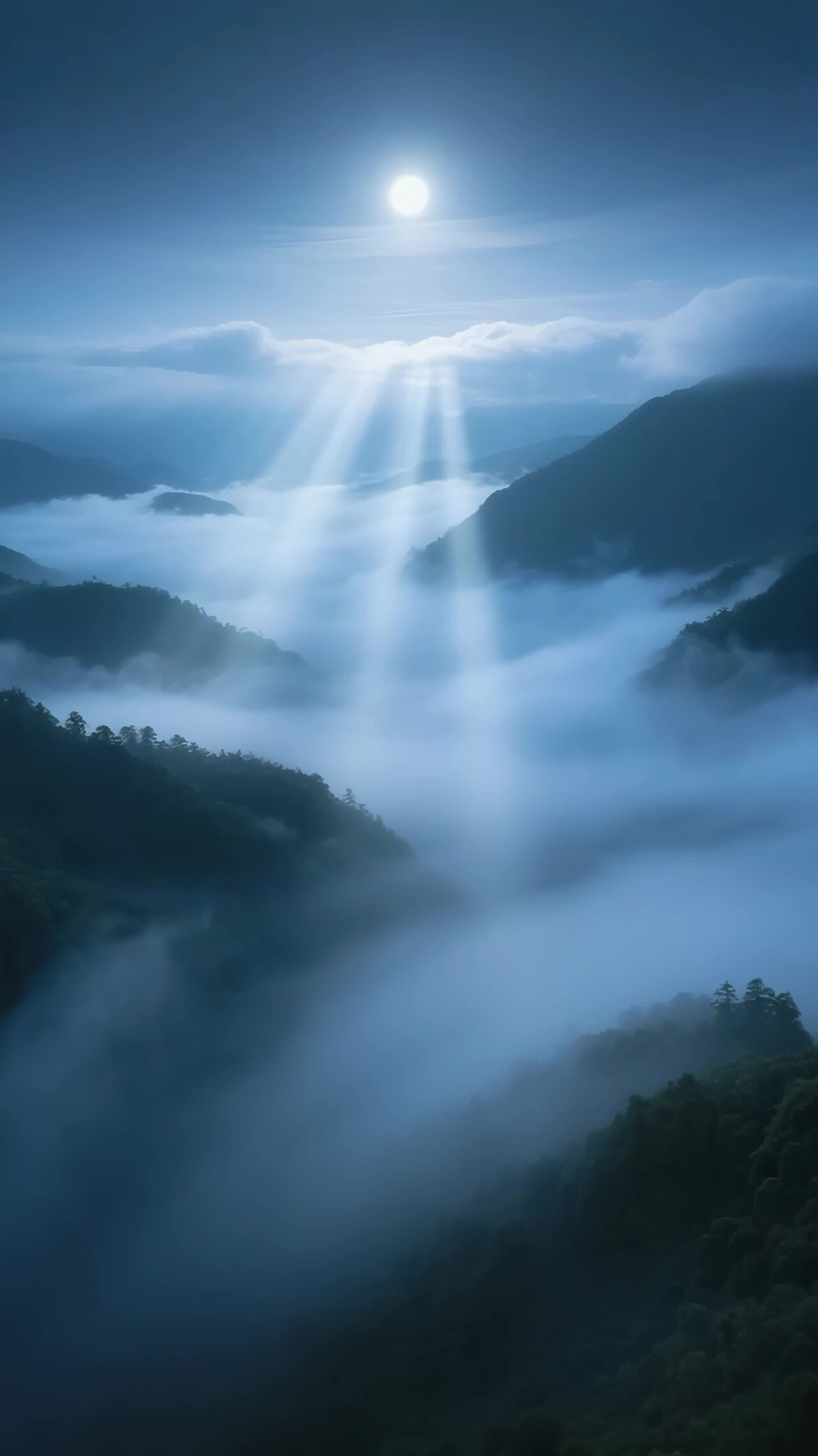 山间云海日出美景竖版视频