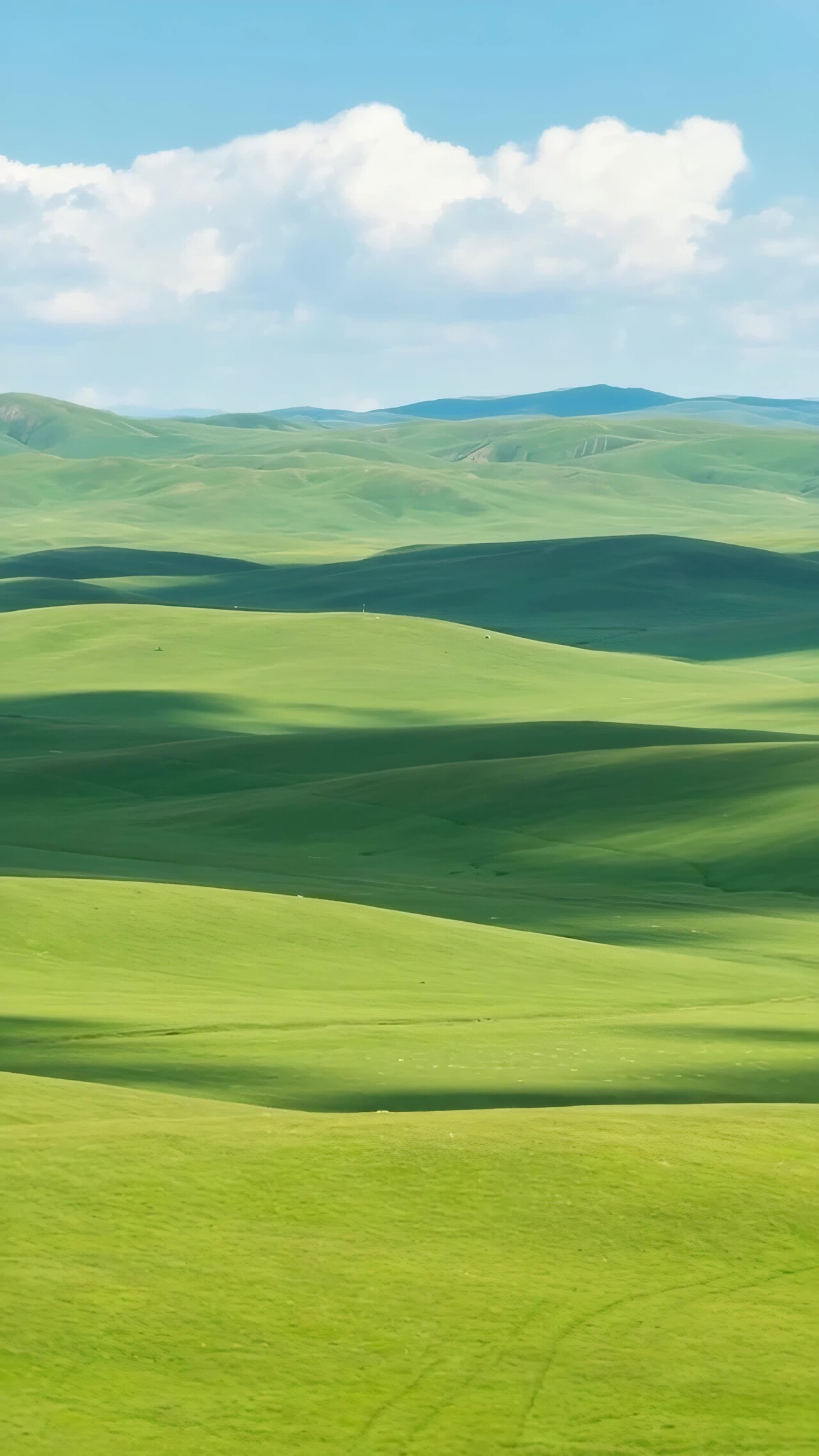 广袤草原与蓝天白云景观竖版视频