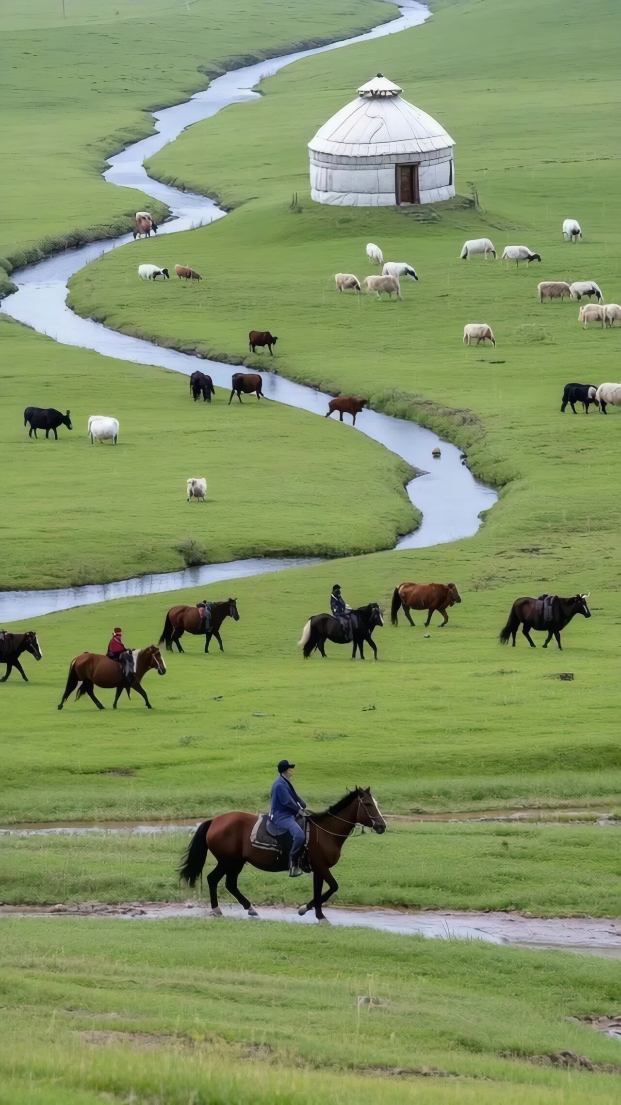 草原牧民骑马放牧场景竖版视频