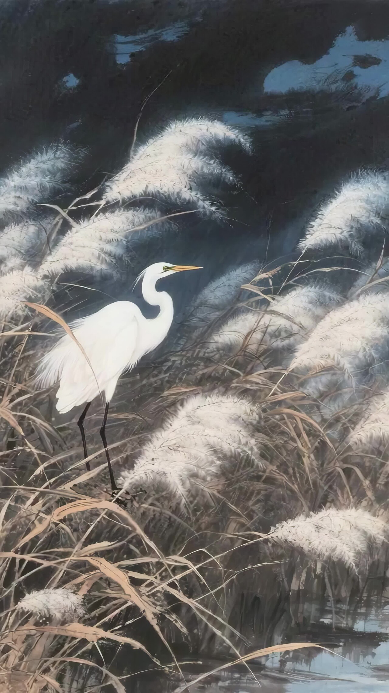 白鹭立于芦苇丛画面竖版视频