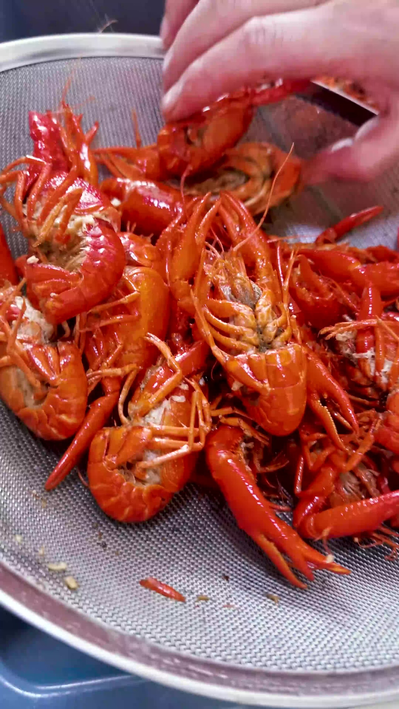 餐馆小龙虾加工竖版视频