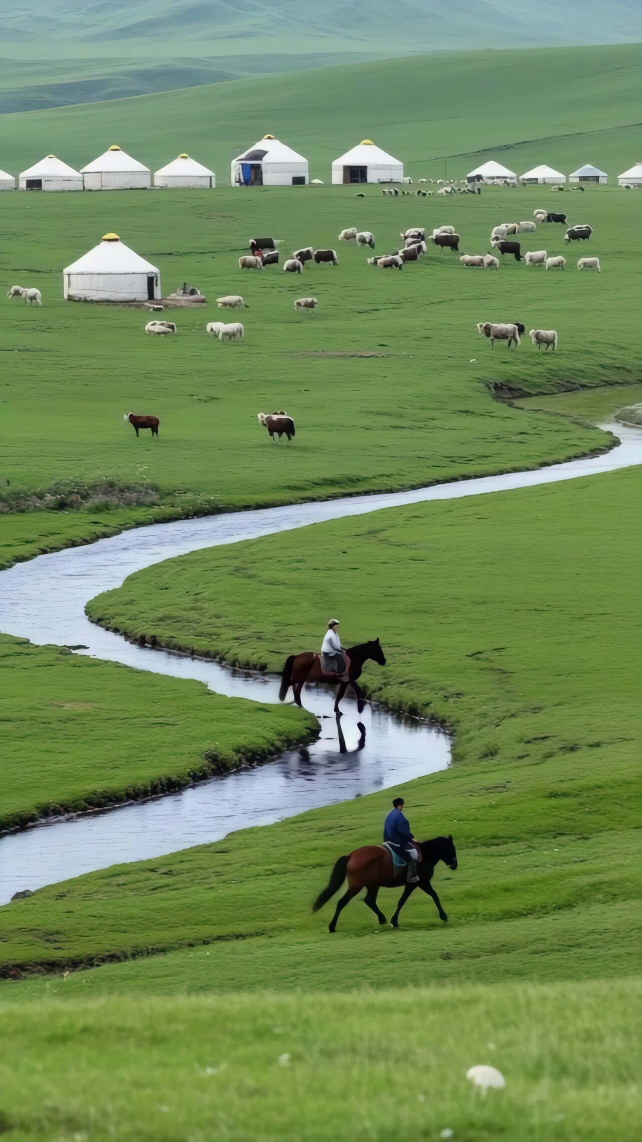 草原上牧民骑马放牧场景竖版视频