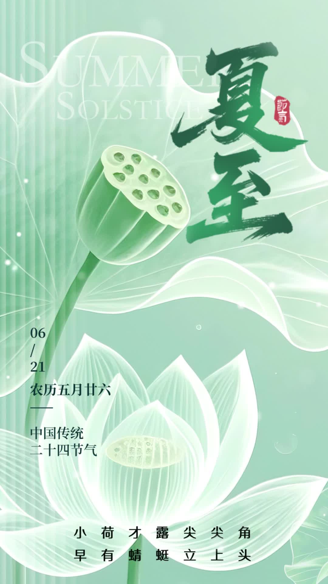 4k绿色简约风格夏至夏至宣传海报夏至视频海报ae模板AE模板