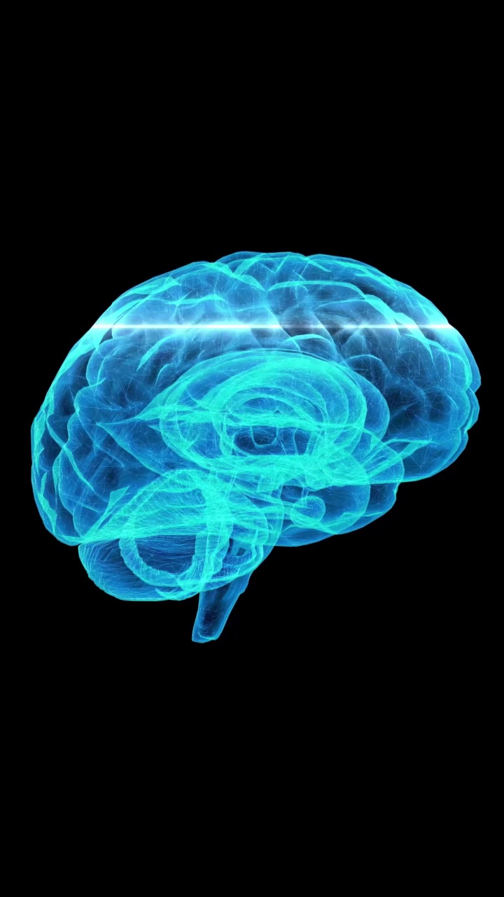 布莱恩活动扫描。3 d动画垂直