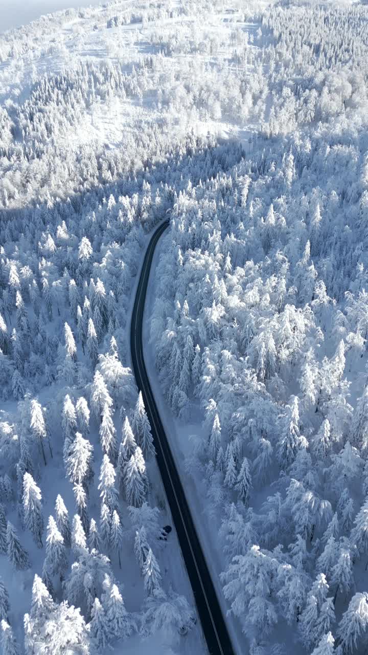 冬季，一辆汽车在雪山森林中行驶的鸟瞰图